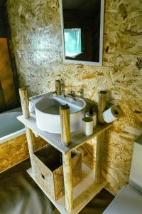 Safari Glamping Portugal Koi Fish