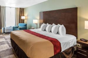 King Room - Accessible/Non-Smoking room in Econo Lodge Oak Grove