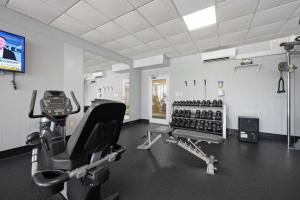 El Matador 239 by Alicia Hollis Rentals New Listing Open