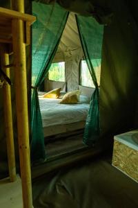 Safari Glamping Portugal Koi Fish