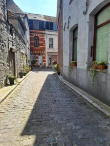 Bright apartment in the heart of Chimay, 40 m² with view