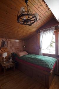 Cortina Olympics cosy apartment