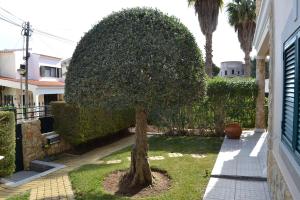 Magnifique Villa à 10min de la mer