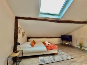 Studio 12 charmant Av Garibaldi - DABNB