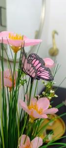 Apartamento Centro Ancha de Gracia