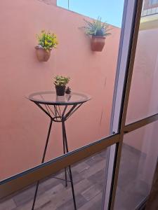 El Algarrobo: Bueno, Bonito y Barato