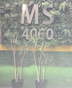 Apartamento home souper PYB