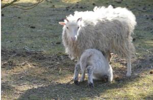 Gnaden -und Ferienhof Saale Wittgenstein