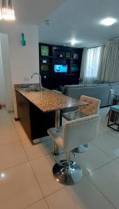 Luxury San Jose aptartment Central&Chic