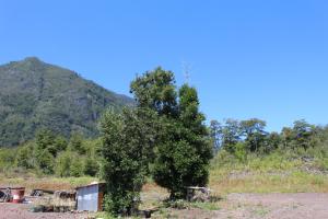 Cabaña 2 Dos Laureles