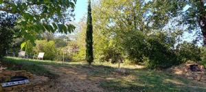 Les Lilas des Chênes