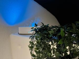 Vila GARUFA Wellness & Spa