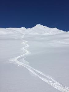 Chalet Perle des Alpes