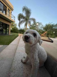 Casa premium con pileta y quincho en Gualeguaychú