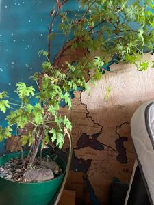 Habitaciones junto a Universidad del Bosque