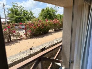 Eco Paradise 126 Cumbuco - Um refúgio à beira-mar