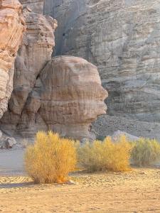 Tamim Luxury wadi rum camp