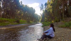 Fundo Venegas & Montoya