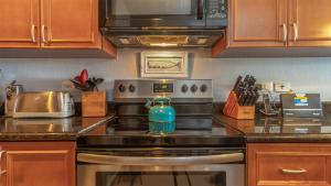 2 BR 2BA Condo @Las Palomas Opalo 504