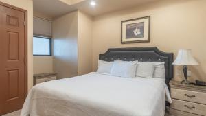 1 BR 1BA Condo @ Las Palomas Rubi 302