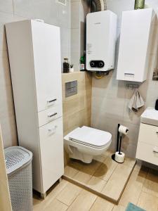 Duży apartament z kuchnią i łazienką w centrum Namysłowa