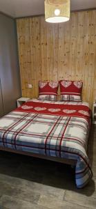 Chalet JACUZZIspa privatif PERCE NEIGE