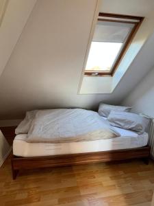 Apartment im Welfenpalais