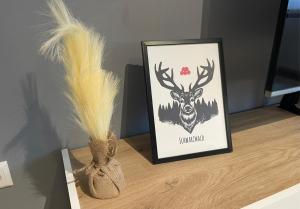 Rückzugsort im Buhlbachtal Baiersbronn - Ferienwohnung mit beheiztem Wintergarten, Bergblick & Parkplatz