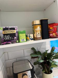 Studio flat central london