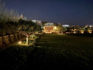 Villa Loretta 1 with pool, jacuzzi and garden