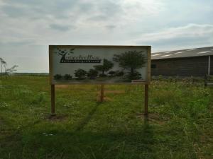 Nice Tiny Home located next to its own food forest