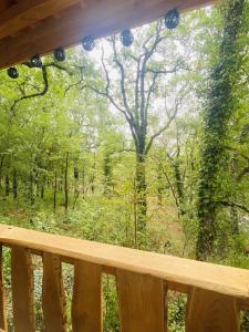 Chalet dans les bois