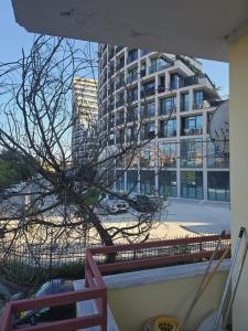 Tranquil Lakeside Tirana