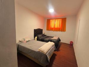 Magic House Experience