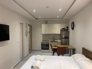 Sol Heart of Tirana Blloku studio