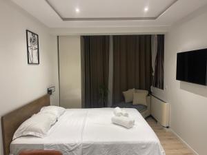 Sol Heart of Tirana Blloku studio