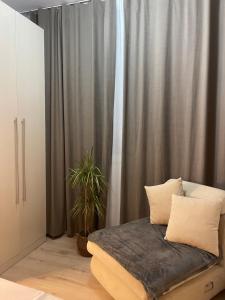 Sol Heart of Tirana Blloku studio