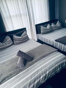 Ha-Dzibs backpackers accommodation