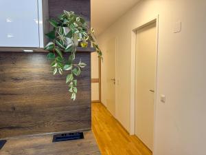 Gemütliche 3SZ-Wohnung in 1220