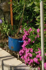 Apartment Zubovici 241b