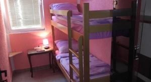 Budget Twin Room room in Guest House Dragomir