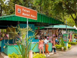 Flat Diamond São Lourenço TOP 308 MG