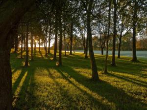 4 person holiday home in Børkop-By Traum