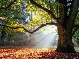 Appartement cosy 70 m2 tout confort 4 personnes