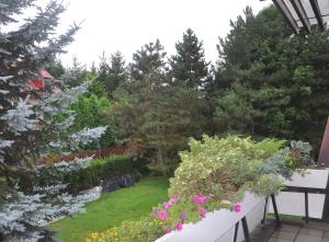 Pokoje Gościnne pod Sikornikiem