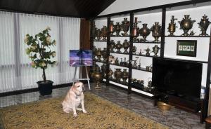 Pokoje Gościnne pod Sikornikiem