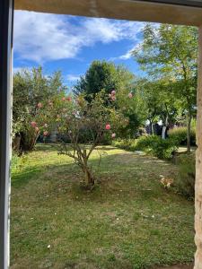 La petite Luzerne 300m de la plage, Cosy et confortable maison rénovée pour 8