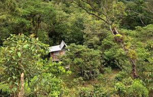 Finca MamaChakra - Cabañas - Camping