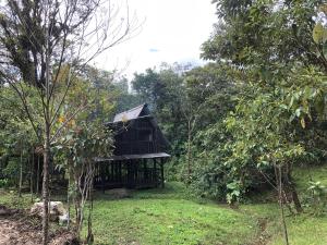 Finca MamaChakra - Cabañas - Camping