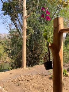 Saneehaa Homestay Resort